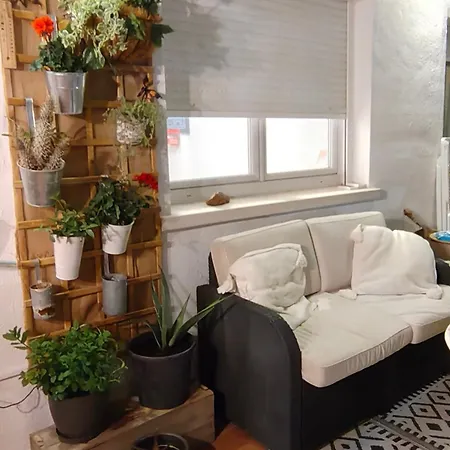 La Casa Mariposa, Uniquement 1chambre Et 1sdb Privees Dans Un Partage